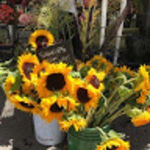 Meet your Posher, Barb